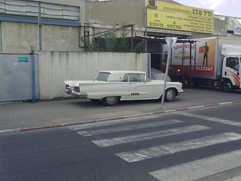 10032013572.jpg