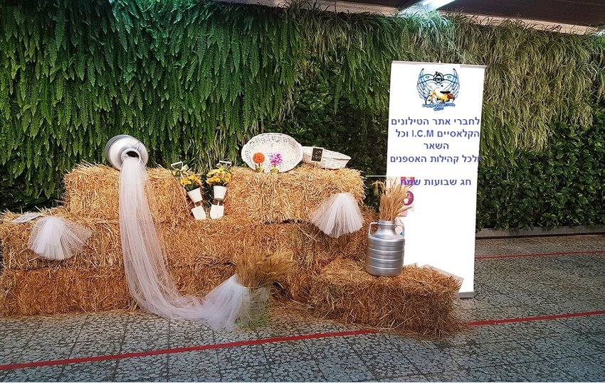 העלאה לפייסבוק - עותק (2).jpg